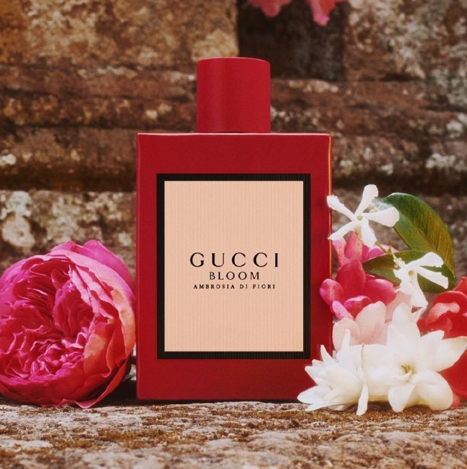 Gucci Bloom Ambrosia Di Fiori EDP 100ml