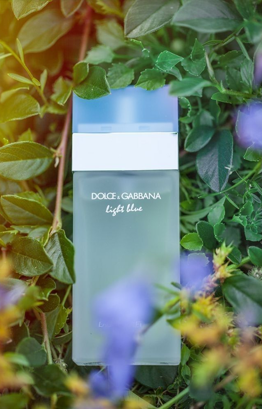 D&G Light Blue EDT 100ml